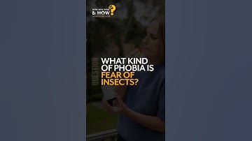 What kind of phobia is FEAR OF INSECTS?