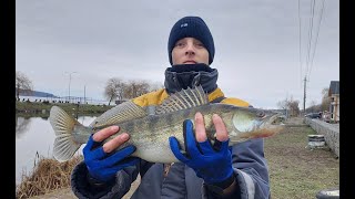 видео: Бурштинський канал!!! СУДАК клює як скажений 65 шт!!! ЩУКА у каналі??? картинка: Бурштинський канал!!! СУДАК клює як скажений 65 шт!!! ЩУКА у каналі???