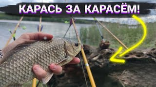 Поклёвка за поклёвкой — карась сам на крючок просится!