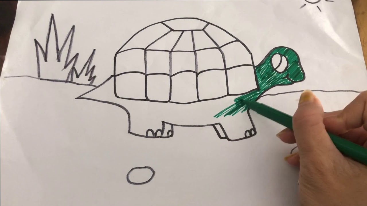 Truyện cổ tích Rùa vàng - Học tiếng Anh tên loài vật - Vẽ con Rùa bằng chữ cái - Draw Turtle