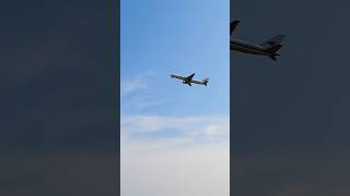 Blue Dante 777 Boeing Cargo Flight Take Off Shots Video #shorts #shortvideo #youtubeshorts #ytshorts