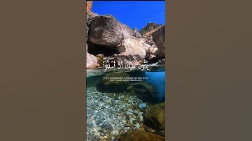 سورة الحجرات الآية (16/17/18) #قل_أتعلُّمون_الله_بدينكم #القارئ_أحمد_خضر