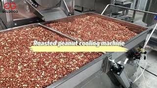 Commercial Peanut Roasting Machine|Peanut Peeling Machine Price