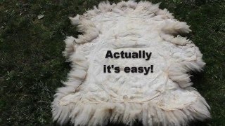 Tan a Sheepskin - Easy Way