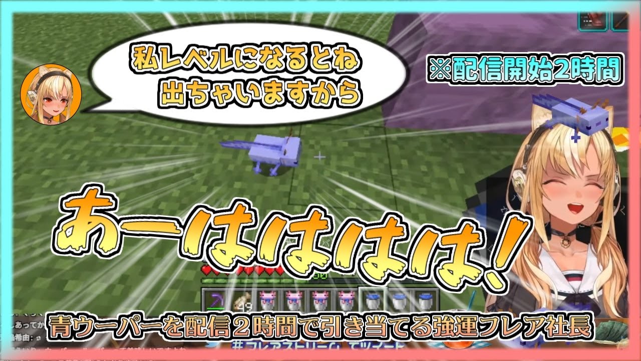 【マイクラ】青ウーパールーパーを配信2時間で引き当てる強運フレア社長【不知火フレア／ホロライブ切り抜き】