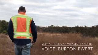 Life-sustaining ponds at Miramar Landfill