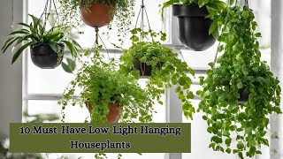 Top 10 Must Have Low Light Hanging Houseplant | Best Hanging + Trailing Houseplants for home