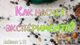 AntReality 1.16 Жнецы готовятся к побегу! Эксперимент.