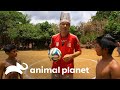 Frank organiza un partido de fútbol entre dos tribus | Wild Frank | Animal Planet