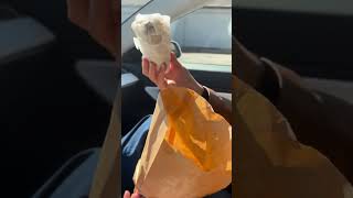 Paradise Pup Food Review