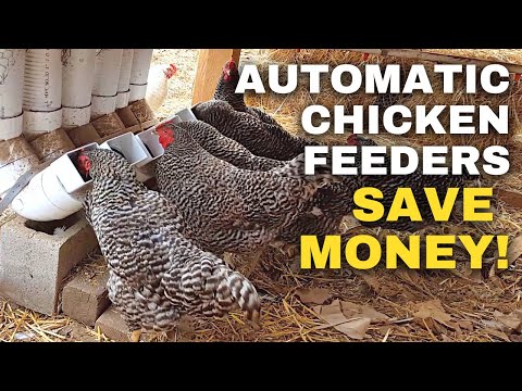 Video: DIY automatisch kippengietsysteem voor minder dan $ 10