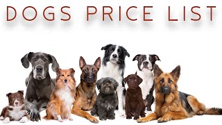 நாய்களின் விலை | DOGS PRICE LIST | Storyboard