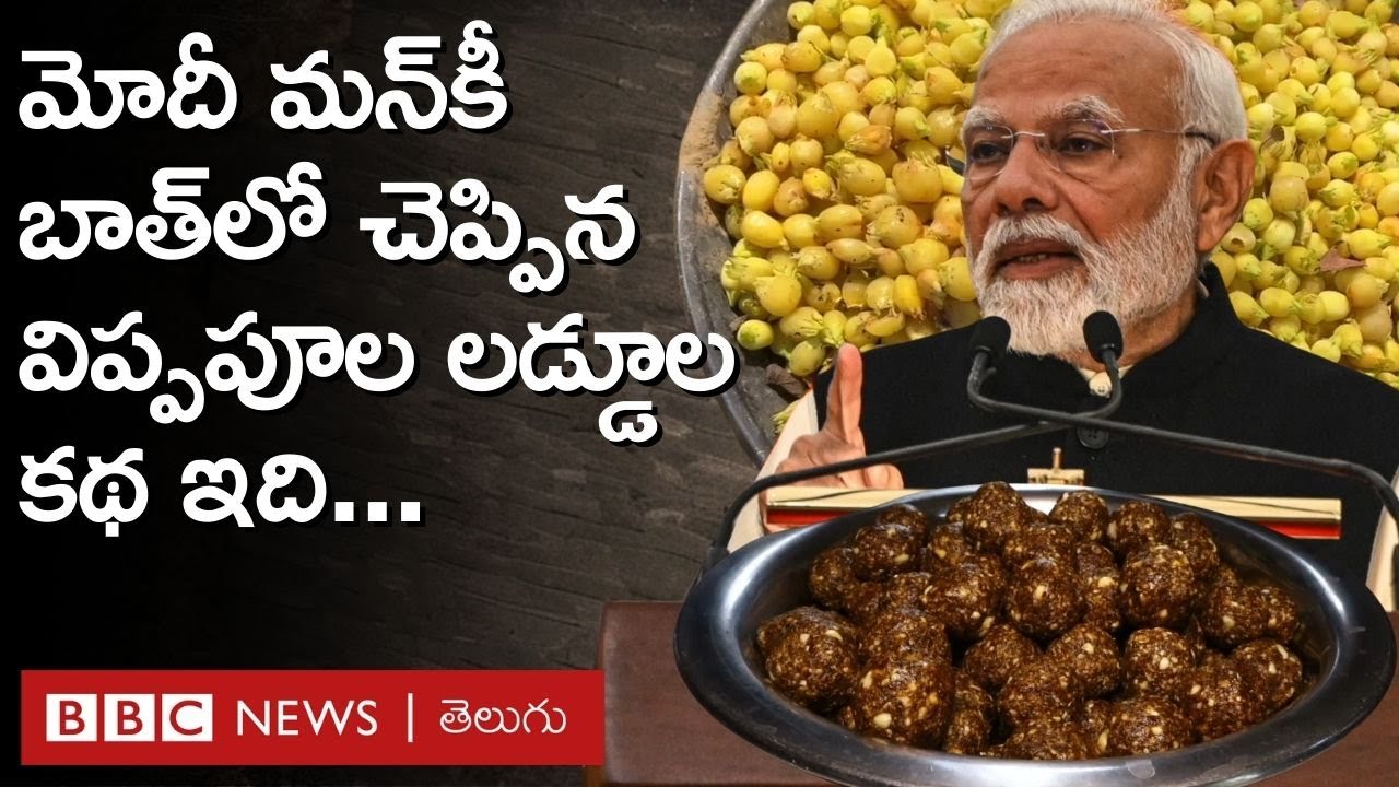 Narendra Modi - ippa Pula laddu: మోదీ మన్‌కీ బాత్‌లో చెప్పిన విప్పపూల లడ్డూ కథ ఇధి | BBC Telugu