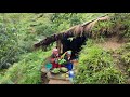 Best Mountain Village Life | Simple Life in The Mountains | Organic Food Cooking in Countryside