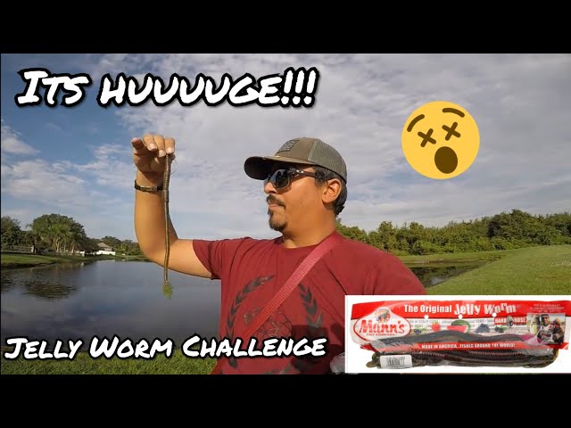 Jelly Worm Fishing Challenge / Mann's Jelly Worm 