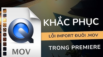 Khắc phục lỗi import đuôi .MOV vào Premiere