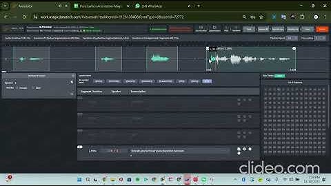Punctuation Annotation Project 