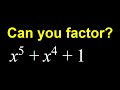 Factoring a quintic. A challenge in algebra