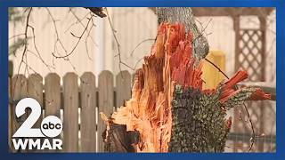 Minor damage reported after storms and tornado warnings on Monday