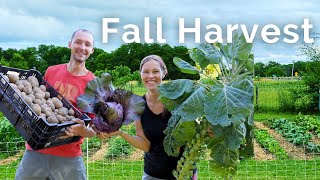 Harvesting 500+ Pounds of Food in One Week