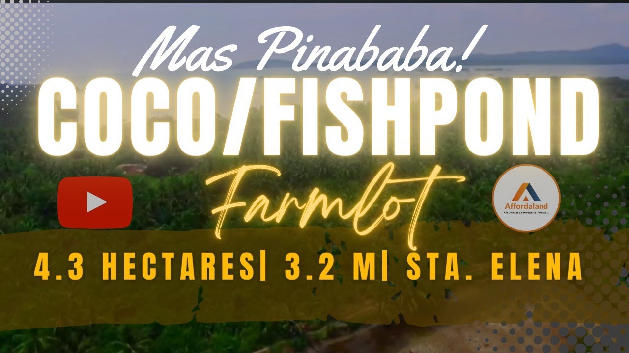 (V92) CLEAN TITLE COCO/FISHPOND FARMLOT4.3has/3.2M MAS PINABABA! #landforsale#propertyforsale#farm