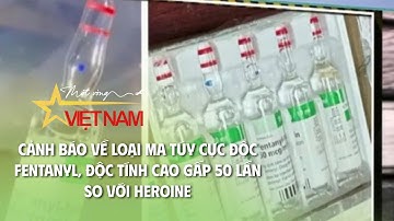 Cảnh báo về loại ma túy cực độc fentanyl, độc tính cao gấp 50 lần so với heroine | VTV Times