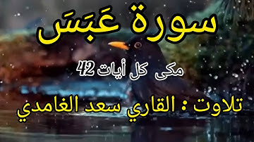 surah abasa with urdu translation|سورة عبس