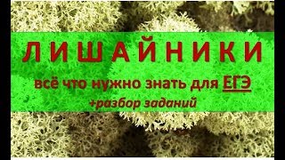 ЛИШАЙНИКИ (теория + задания)