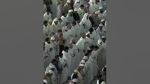 ماتيسر من سورة لقمان (فضيلة الشيخ د.بندر بليلة)