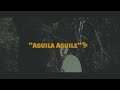 Aguila aguile  miquiztli ocelotl