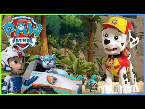 Best Sea Patrol Water Rescue Episodes! +more! | PAW Patrol | Cartoons for Kids ⭐️2H Compilation