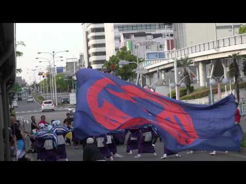 よさこい鳴子連今日一屋（よさこい夢まつり2016）本祭二日目ポートビル会場④