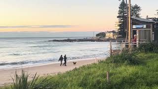 14.08.2026 Sydney Surf Report Dee Why Beach Australia