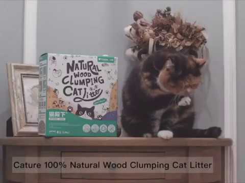 Cature bestseller product-- wood clumping cat litter