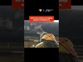 Какая самая интересная или редкая вакансия была у вас в практике? 😀
