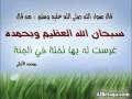 سورة الزخرف الشيخ ماهر المعيقلي 