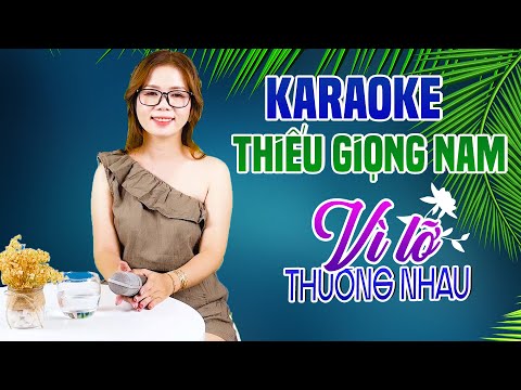 Karaoke Song Ca | VÌ LỠ THƯƠNG NHAU - Thiếu Giọng Nam | Song Ca Với Lê Liễu