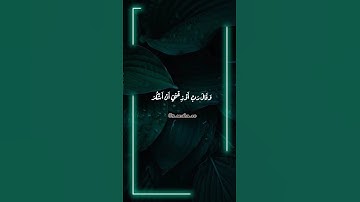 #قرآن_يريح_القلب #الشعب_الصيني_ماله_حل   #النمل #سورة_النمل