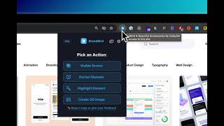 BrandBird Chrome Extension - Screenshot a visible tab