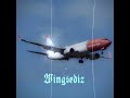 I'm pretty sure I'm gonna win #planeedits #airplane #aviation #b787 #edit