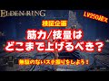 【エルデンリング】LV250を超えたので筋力と技量をどこまで上げるべきか検証してみた 上昇値の変化 無駄ないステ振り