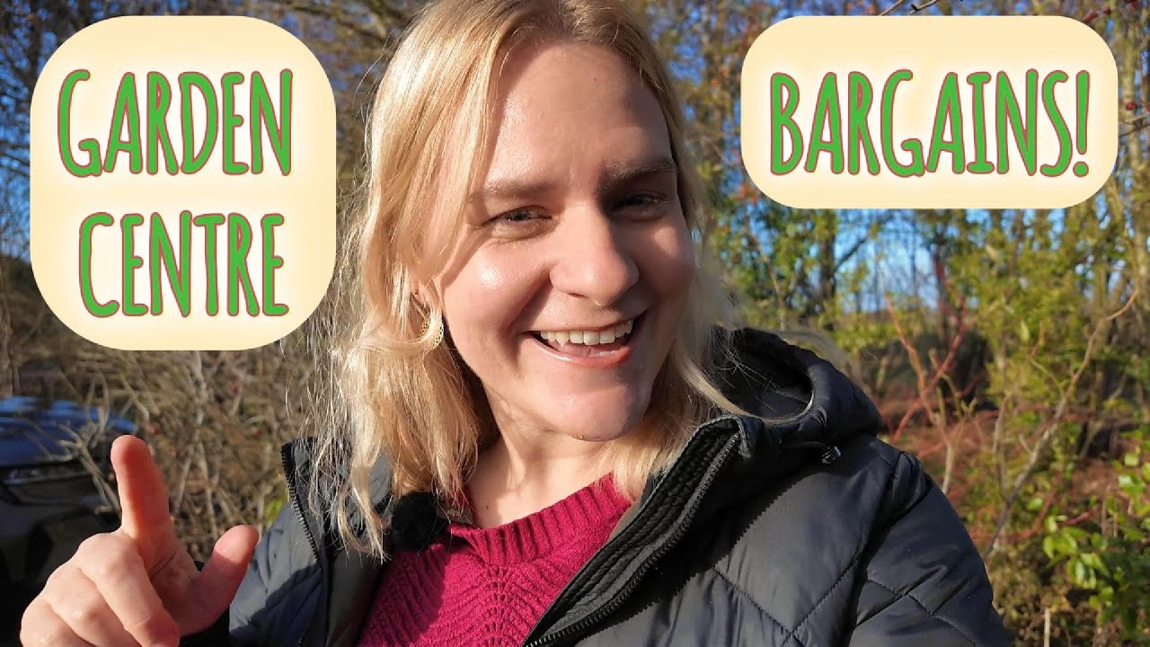 Garden Centre Bargains - Don't miss out! Perennial flowers at rock bottom prices! 