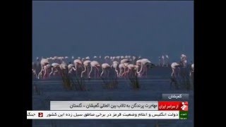 Iran Golestan province, Gomishan wetland تالاب گميشان استان گلستان ايران