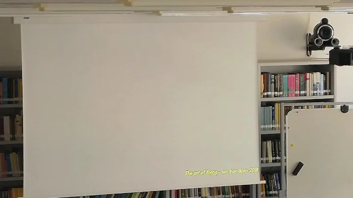 " Perceptual Matter and the Virtual Reality Experi...