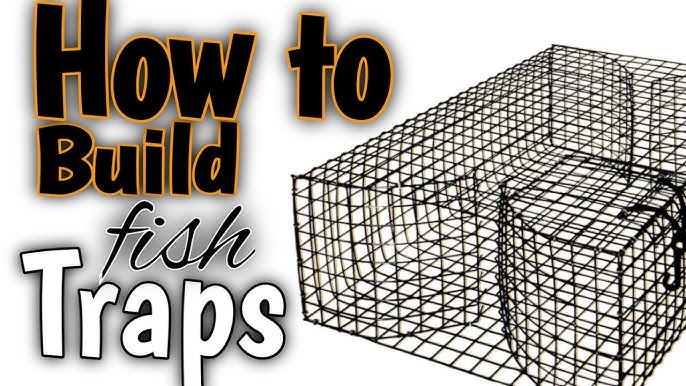 How To Make The Best otter proof Pinfish/Bait Trap 