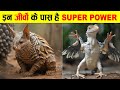 इन 11 जीवों के पास है सुपर सेंस || 11 ANIMALS WITH SUPER SENSES.