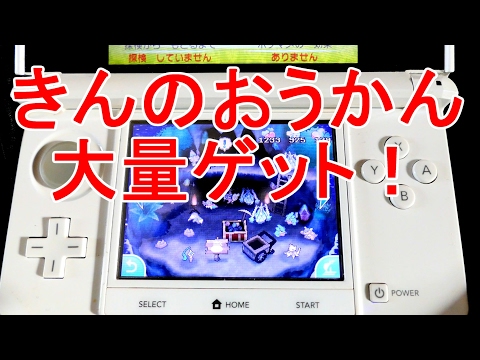 ポケモンサンムーン裏技 ポケリゾートで金の王冠を大量入手 リゾートバグ Youtube