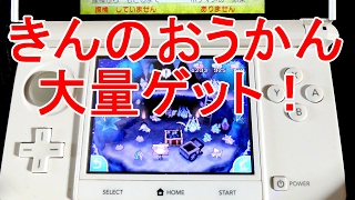 ポケモンサンムーン裏技 ポケリゾートで金の王冠を大量入手 リゾートバグ Youtube