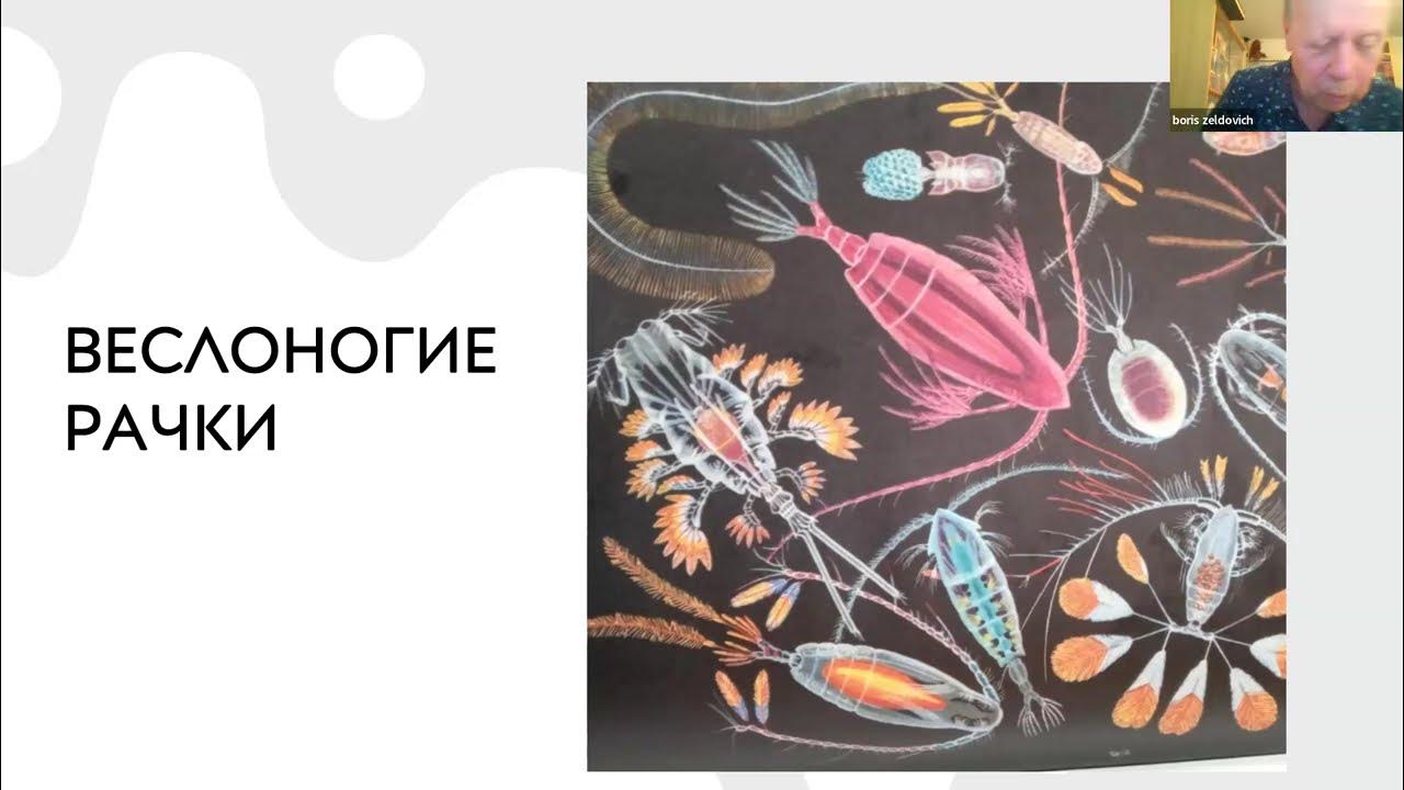Биология тематические тесты. Биология видеоуроки 6 класс новый урок. Сивоглазов, ага. Тесты по биологии книга. Биология 11 июня 2024.