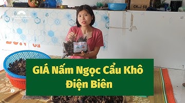 Nấm Ngọc Cẩu Khô Ngâm Rượu  - Giá 160k/1kg